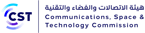 Partner 31